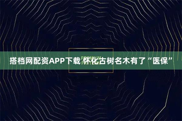 搭档网配资APP下载 怀化古树名木有了“医保”