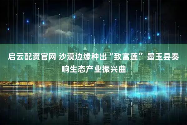 启云配资官网 沙漠边缘种出“致富莲” 墨玉县奏响生态产业振兴曲