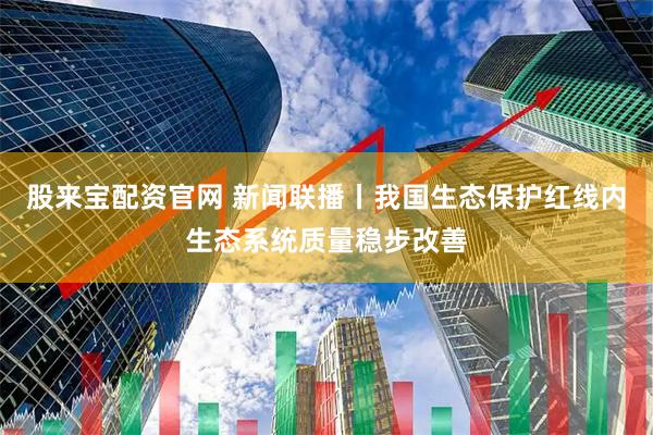 股来宝配资官网 新闻联播丨我国生态保护红线内生态系统质量稳步改善