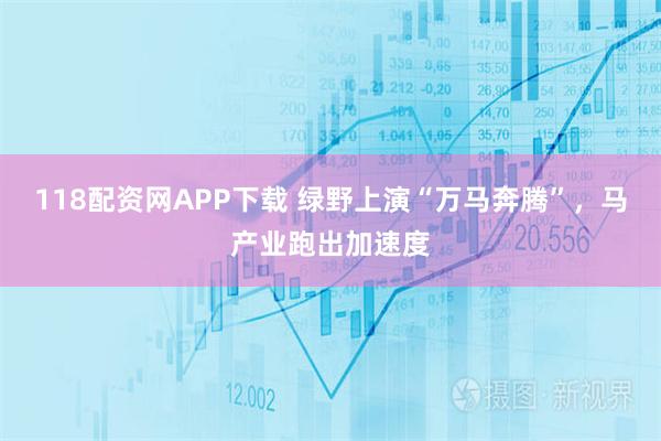118配资网APP下载 绿野上演“万马奔腾”，马产业跑出加速度