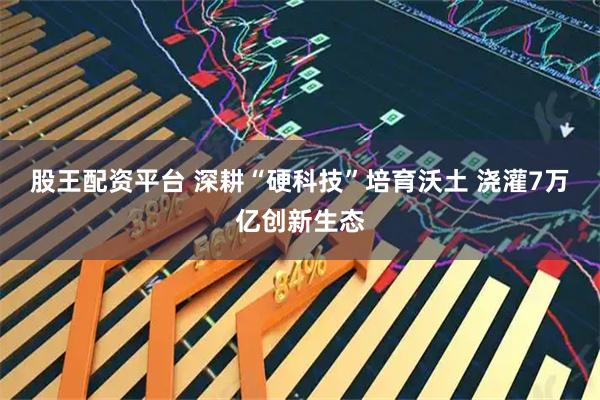 股王配资平台 深耕“硬科技”培育沃土 浇灌7万亿创新生态