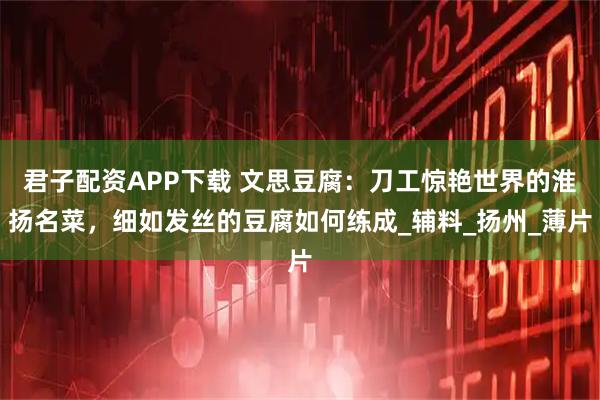 君子配资APP下载 文思豆腐：刀工惊艳世界的淮扬名菜，细如发丝的豆腐如何练成_辅料_扬州_薄片