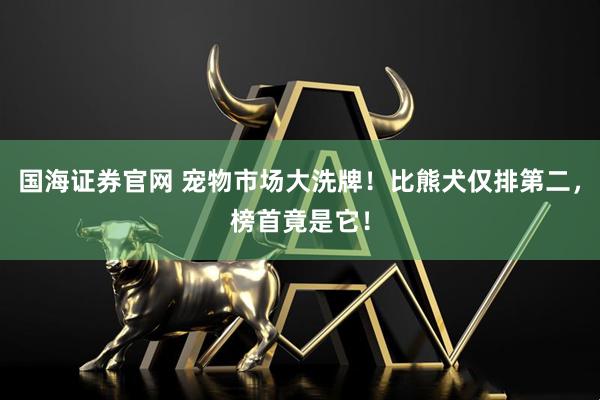 国海证券官网 宠物市场大洗牌！比熊犬仅排第二，榜首竟是它！